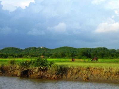 Mrauk U 012.jpg