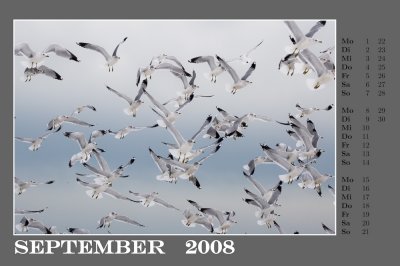 b2008-09.jpg