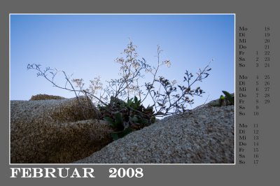 c2008-02.jpg