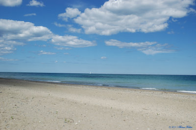 IL Beach U