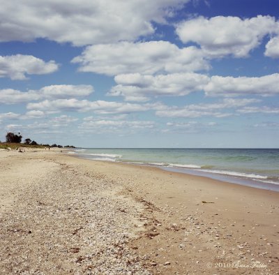 Up The Beach