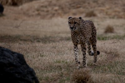 _MG_8777.jpg