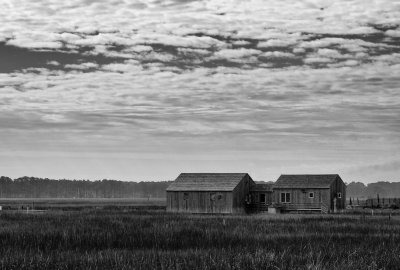 Bombay Hook 2012