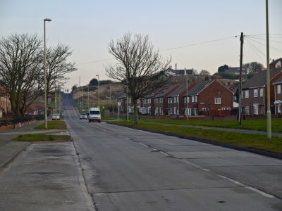 Lizard Lane South Shields