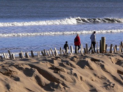 Walking the surfline