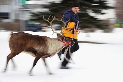 Dave Taking Star For A Run