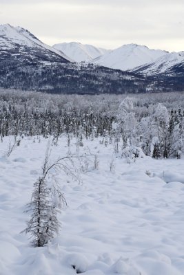 snow