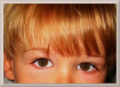 Leons eyes