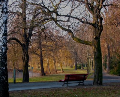 Park at evening