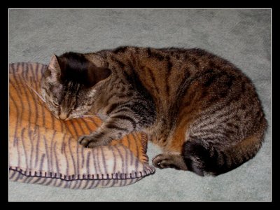 I love my pillow