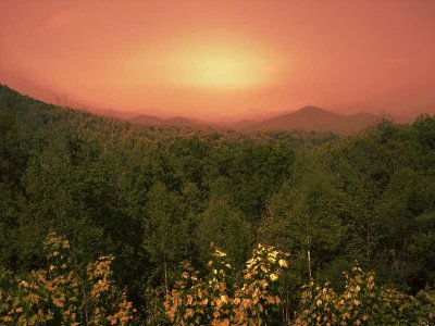 hills1_stylematchl.jpg