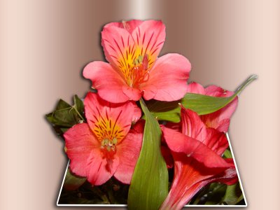 flowersoob.jpg