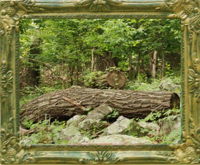 Photo_in_dornes_frame.jpg