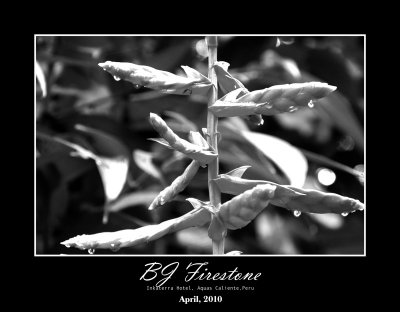 black_white_art_frame.jpg