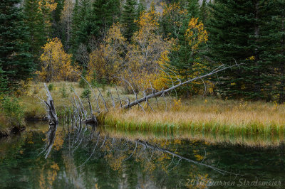 009 Peter Lougheed Park.jpg