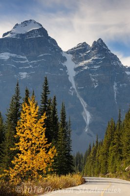 030 Near Moraine Lake.jpg