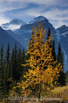 031 Near Moraine Lake.jpg