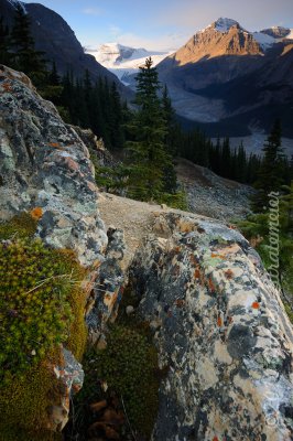 050 Peyto Lake.jpg