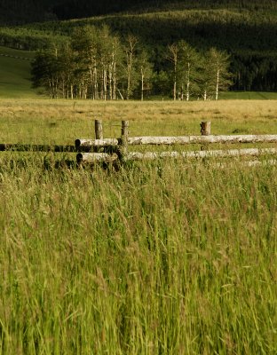Last Dollar Ranch