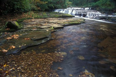 Creek near Florence