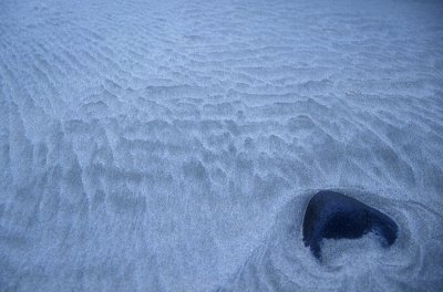 Patterns in Sand - Beach Near Florence