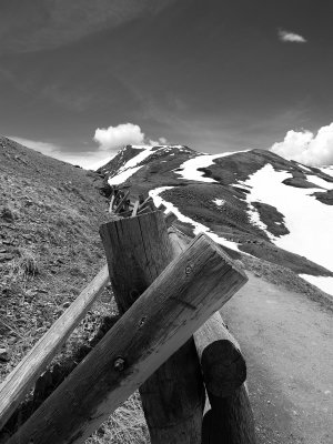 P5319850_bw.jpg