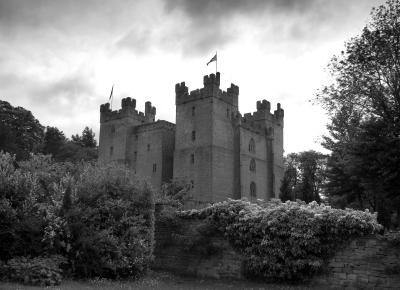 IMG_5762_raw_B&W.jpg