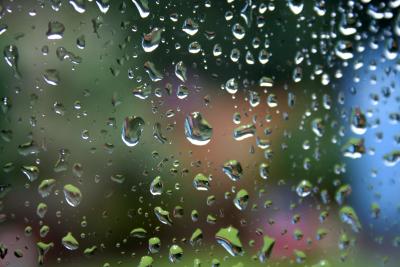 my garden shed on a rainy day