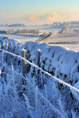 winter scene - northumberland