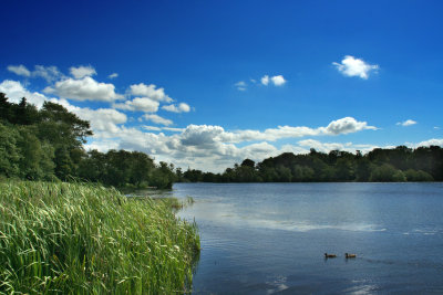 bolam lake, northumberland