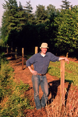 2003 fieldwork