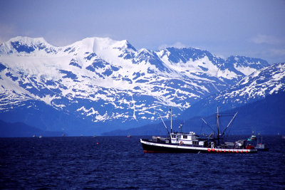 g4/93/684593/3/134916073.98D3Y5Fr.jpg