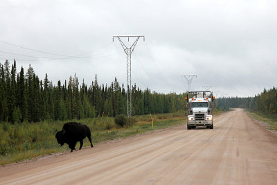 g4/93/684593/3/137776239.GJ1Wwlhf.jpg