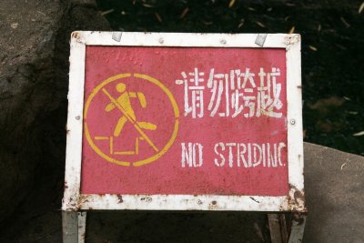 No striding