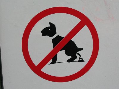 No dogs ......