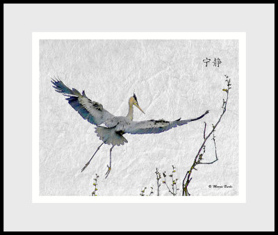 PHAINTINGS   Photos converted to paintings by computer post-processing software.