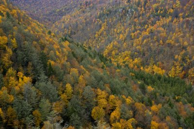 Canaan Valley, West Virginia