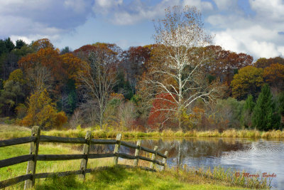 Late Fall Landscape, North East Ohio