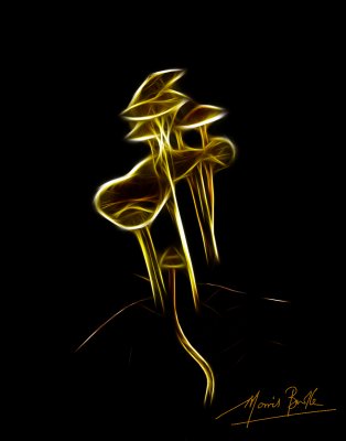 Glowing Miniature Mushrooms 2