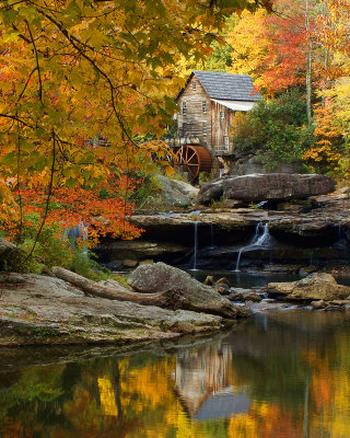The colors of Fall. 2011