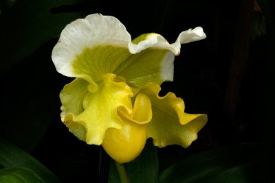 IMG_2031 resize lab.jpg