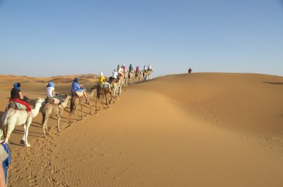 053 2011-07-25 Erg Chebbi, de Dromedarissentocht.jpg
