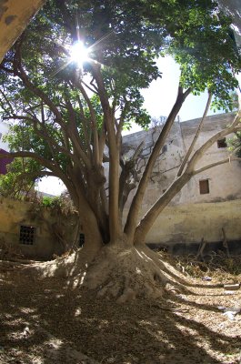 080 2011-08-01 Essaouira.jpg