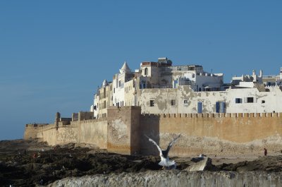 084 2011-07-31 Essaouira; haven.jpg