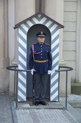 0025 Praag Burgt Slotplein Wisseling van de wacht.jpg