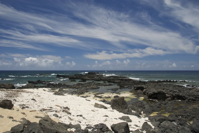 resting Hawaiian monk seal while west waves meet north waves