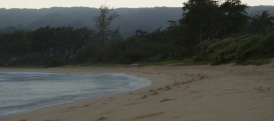 crab holes along Malaekahana beach