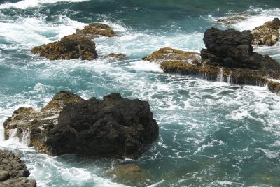 more seaweed on lava rocks