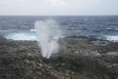 leading to big blow hole