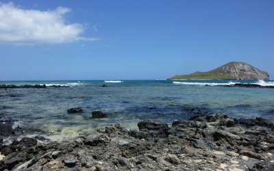 Sea Life Park along Kalanaianaole Highway towards Makapuu Point